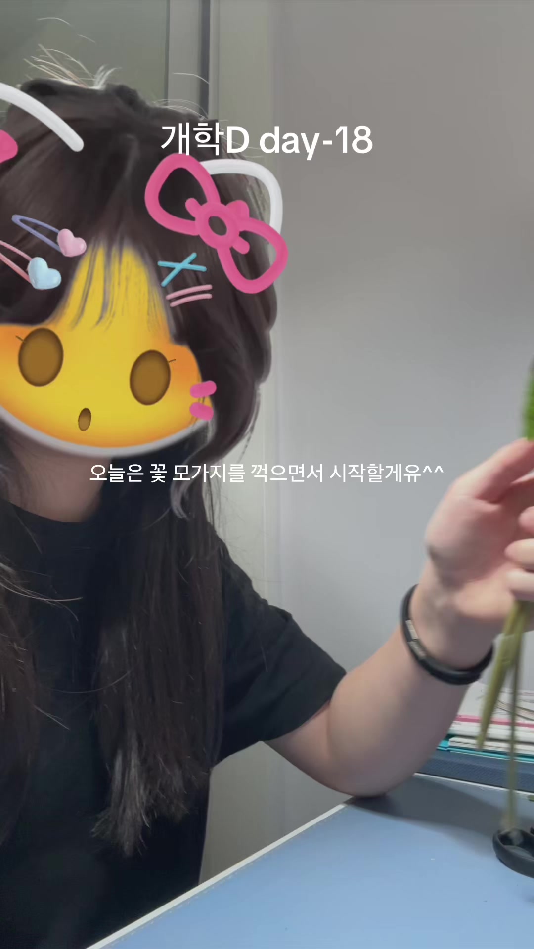 @시파녀