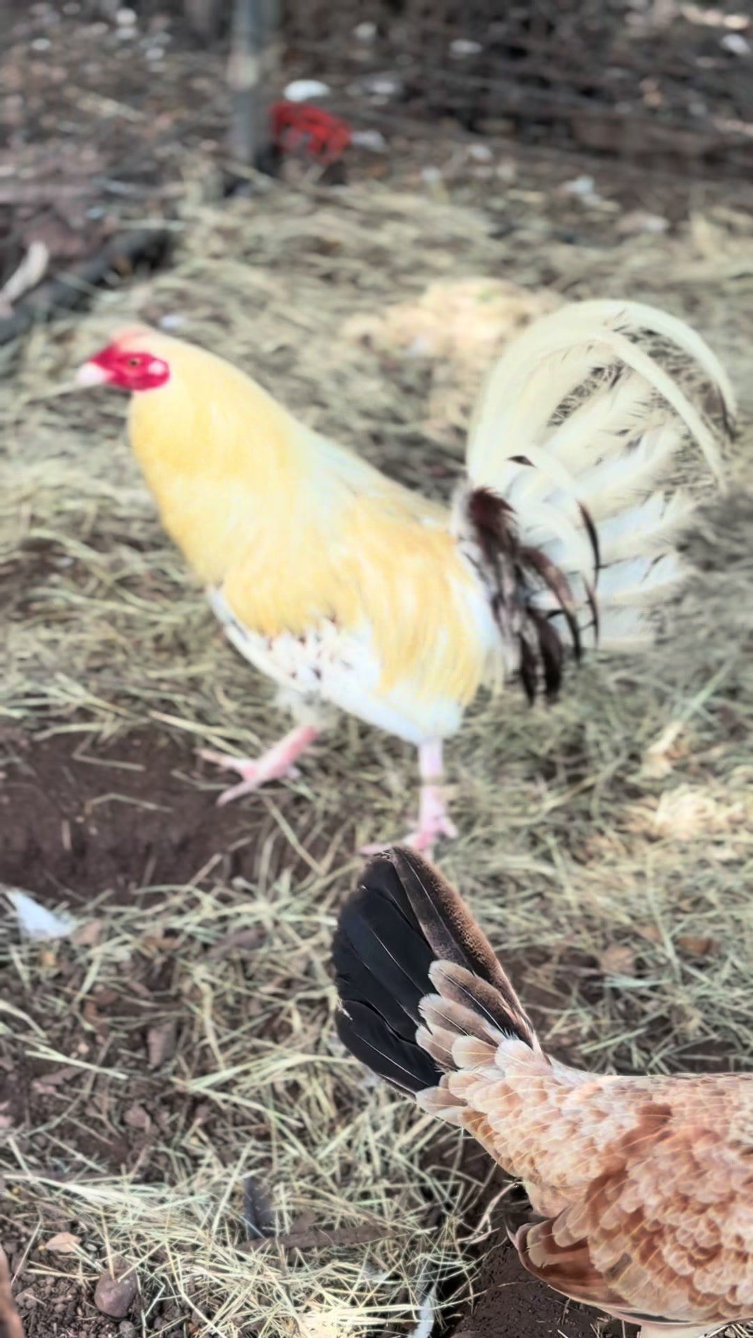 @Bryan Gamefarm