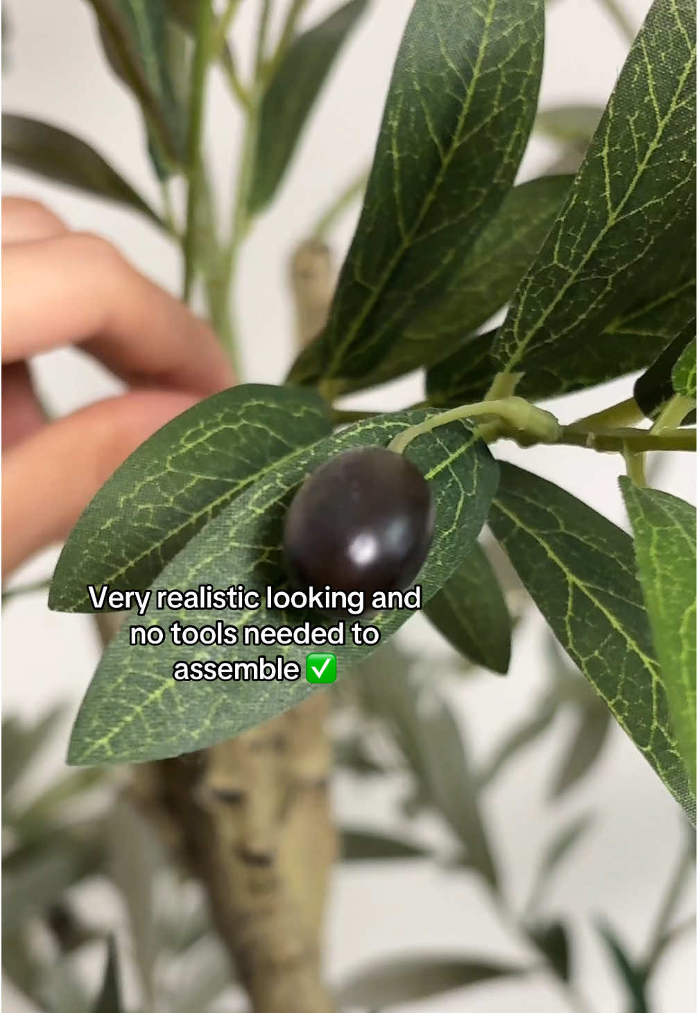 @yourbeautyfindsx