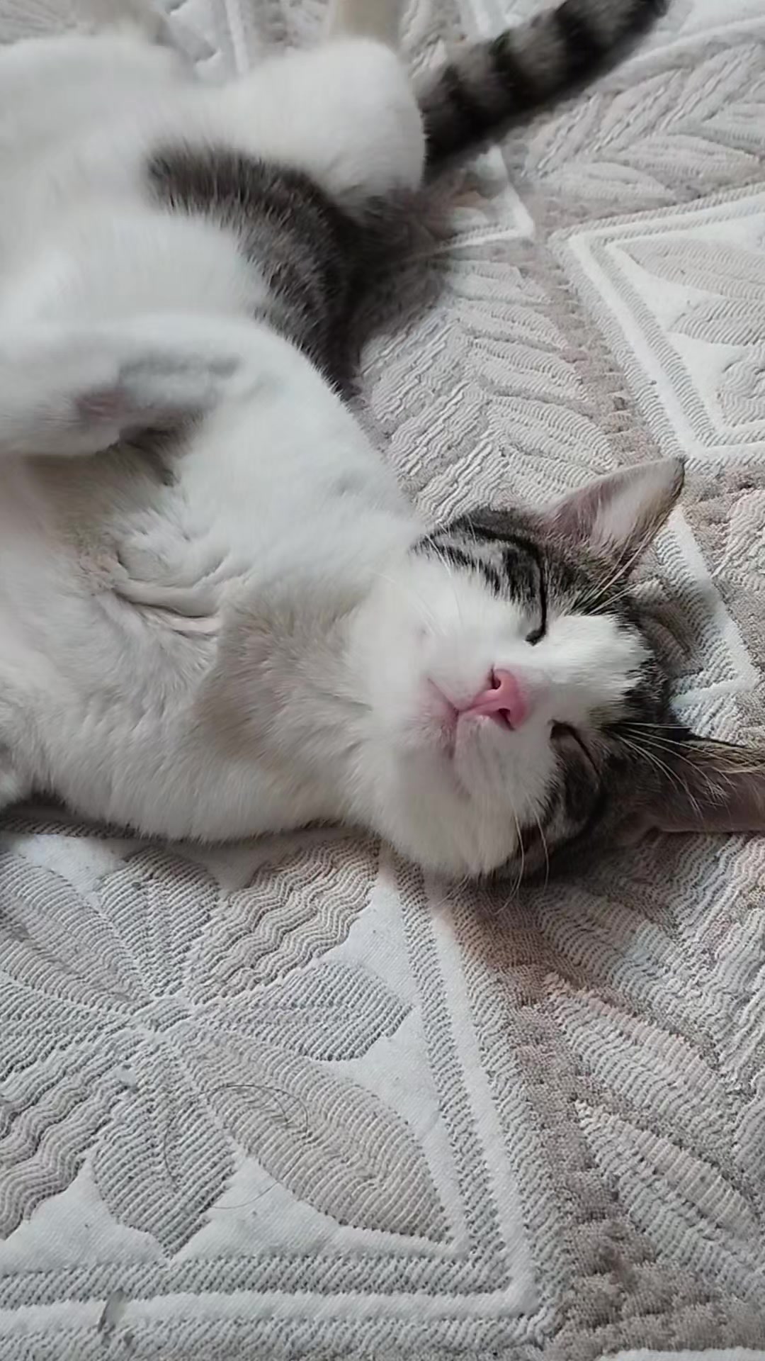 @miniş