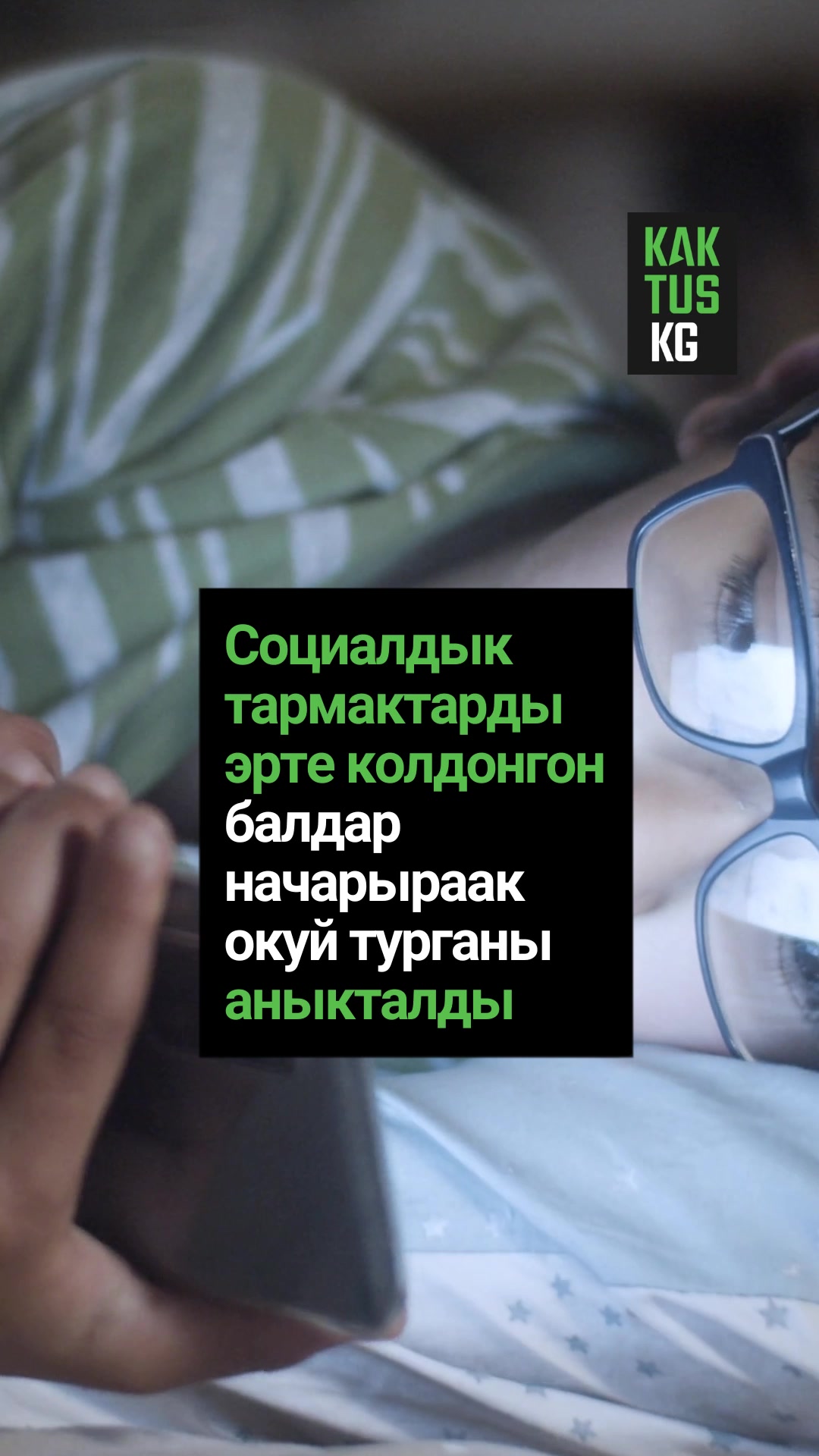 @Kaktus KG