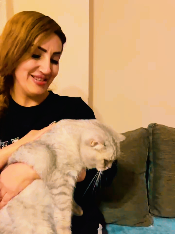 @K&ouml;yl&uuml;G&uuml;zeli01