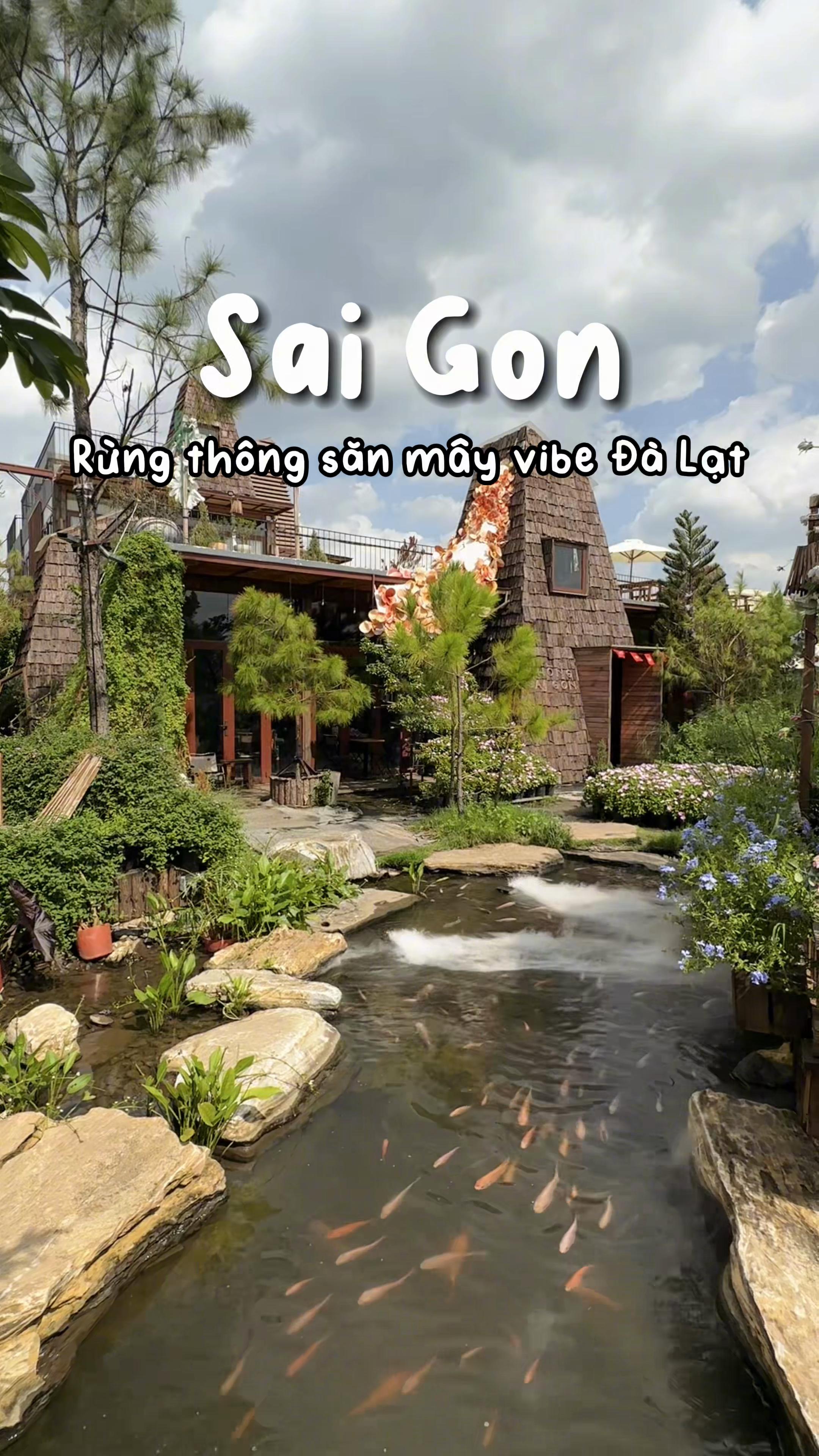 @1 ph&uacute;t S&agrave;i G&ograve;n