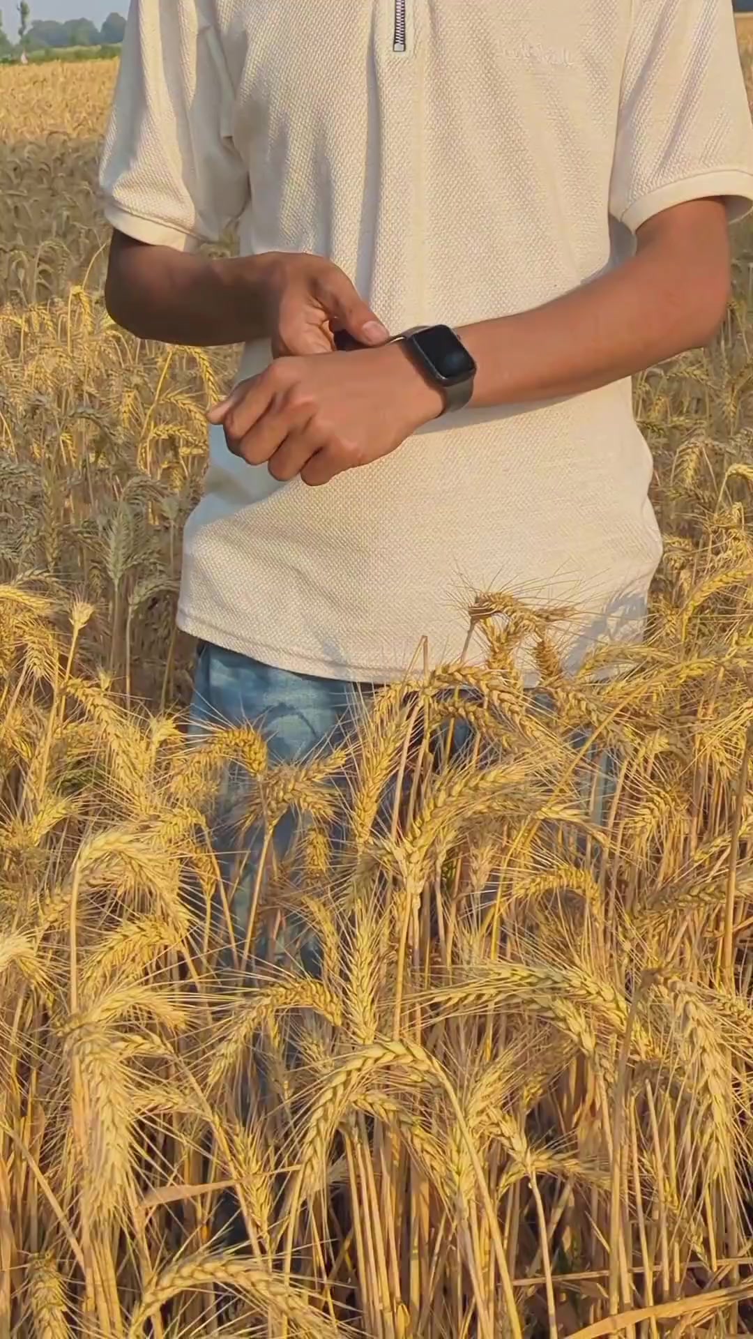 @⚜️ ᴅ o ᴄ ᴛ ᴏ ʀ ⚜️