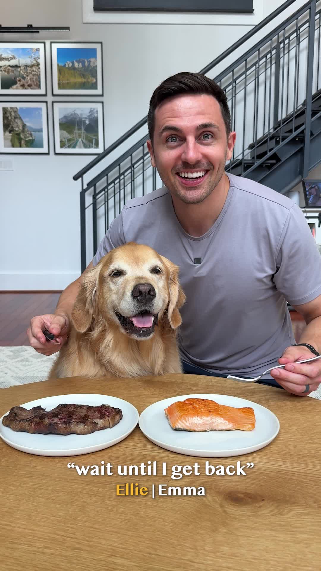 @Golden Retriever Life