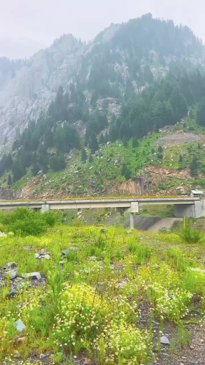 @uzairkhan1383
