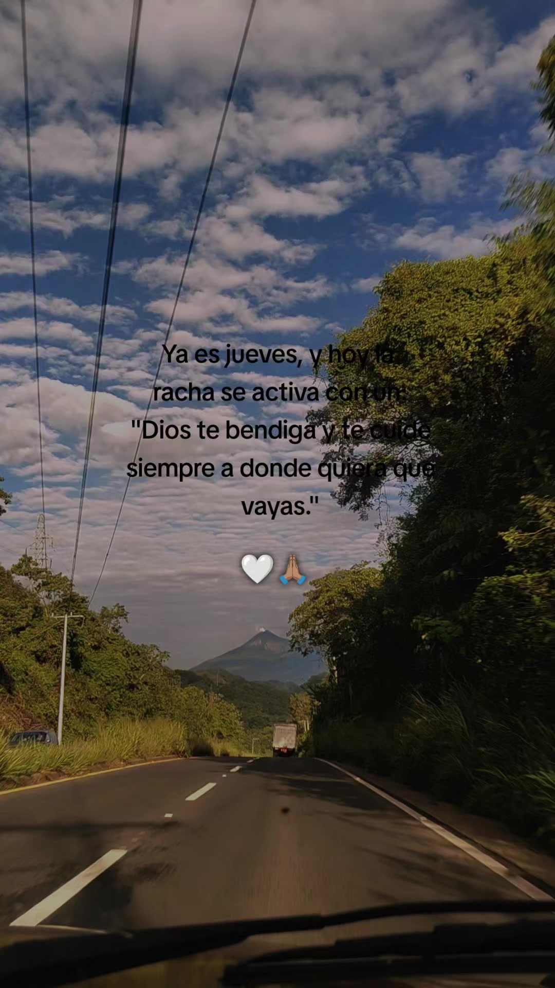 @Linda Cardona 🪼🪐