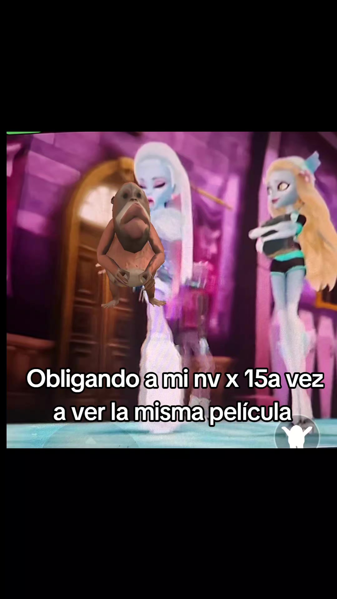 @catwhite