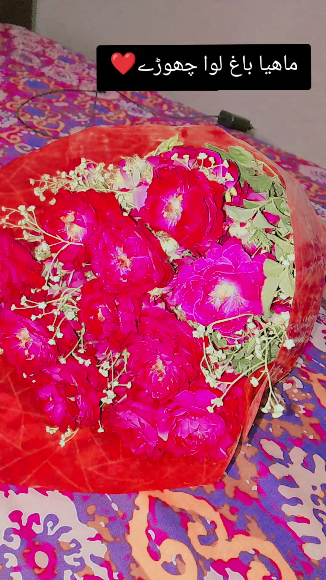 @Chashmish memon ❤️