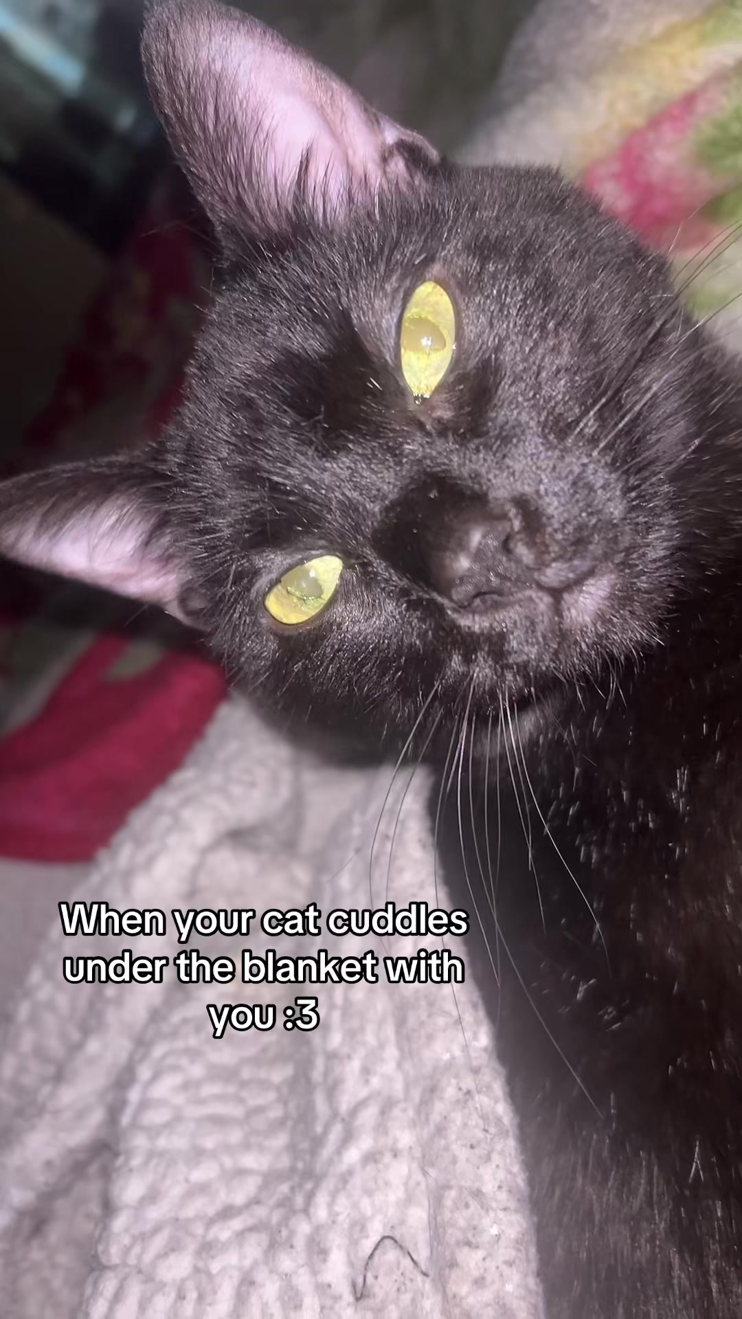 @ℬℯ𝓀𝒶𝒽ꨄ