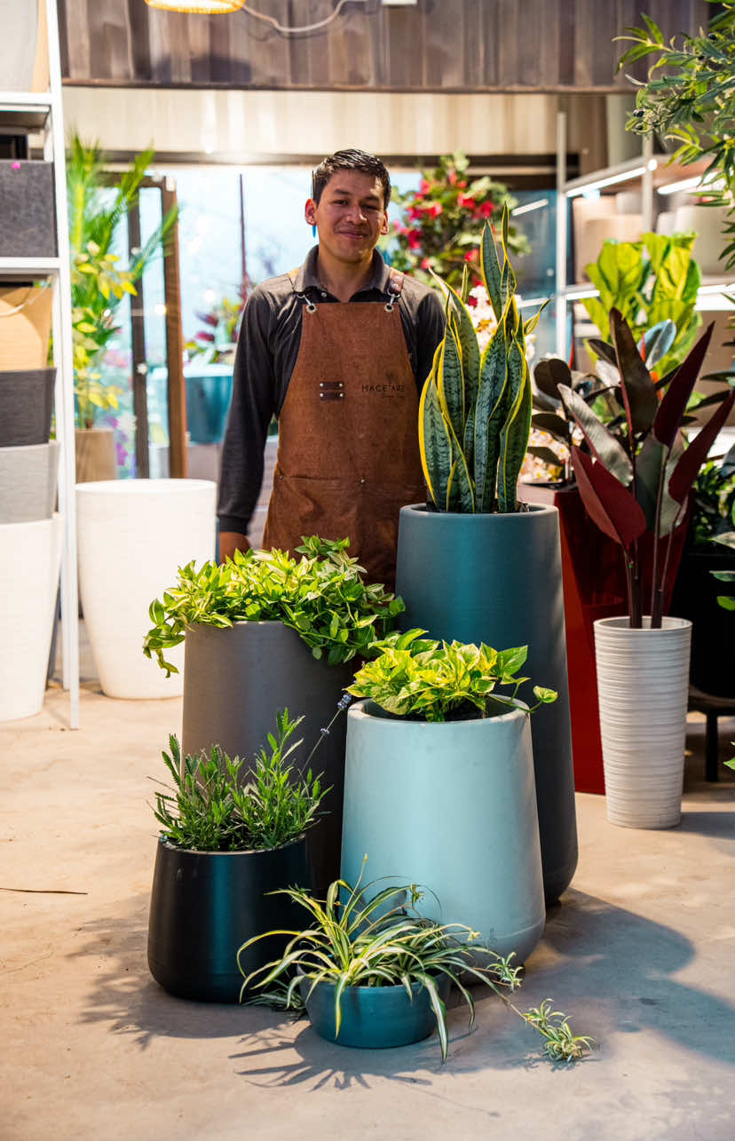 @Macetare Garden Shop Ecuador
