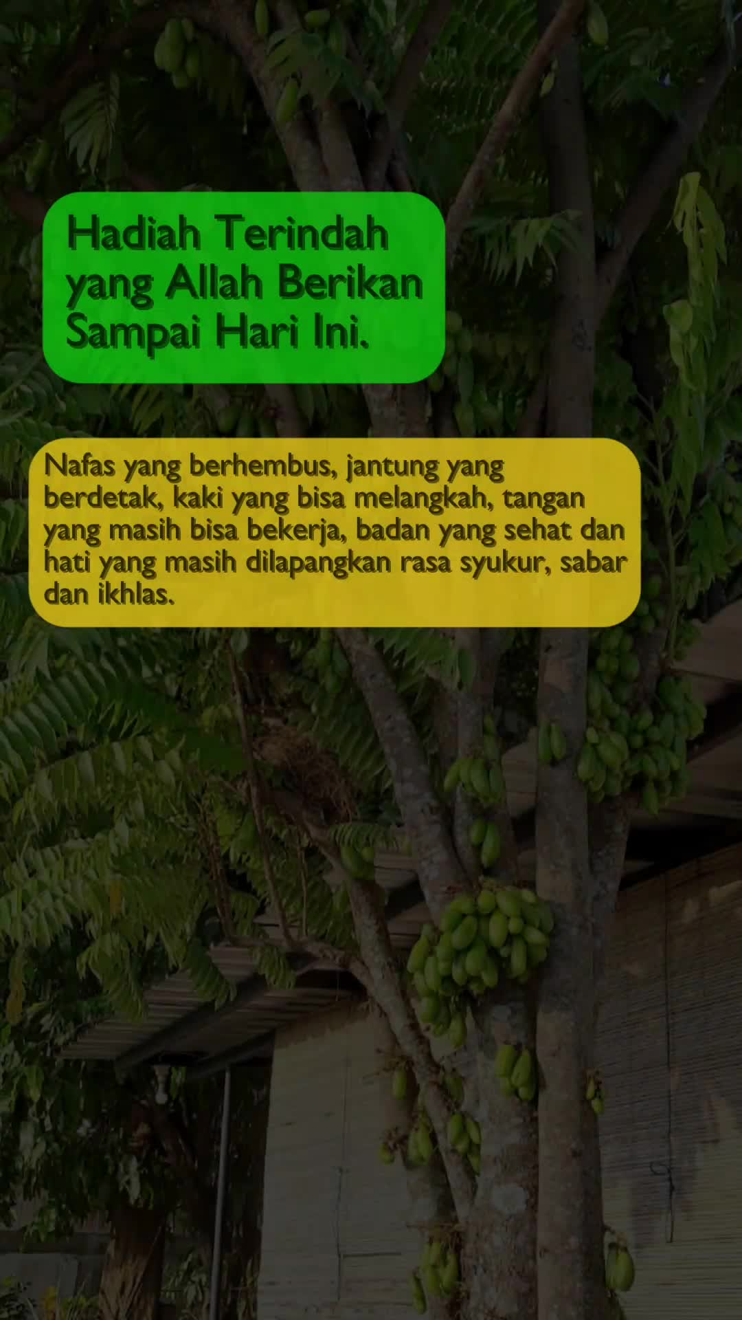 @Heni Rintan M0