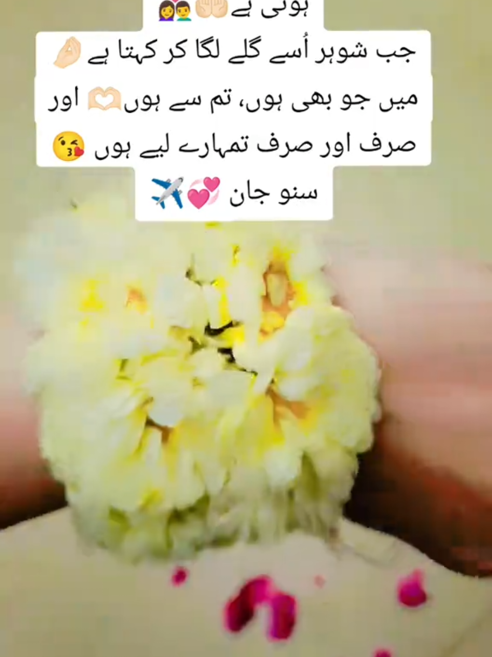 @raabi❤️