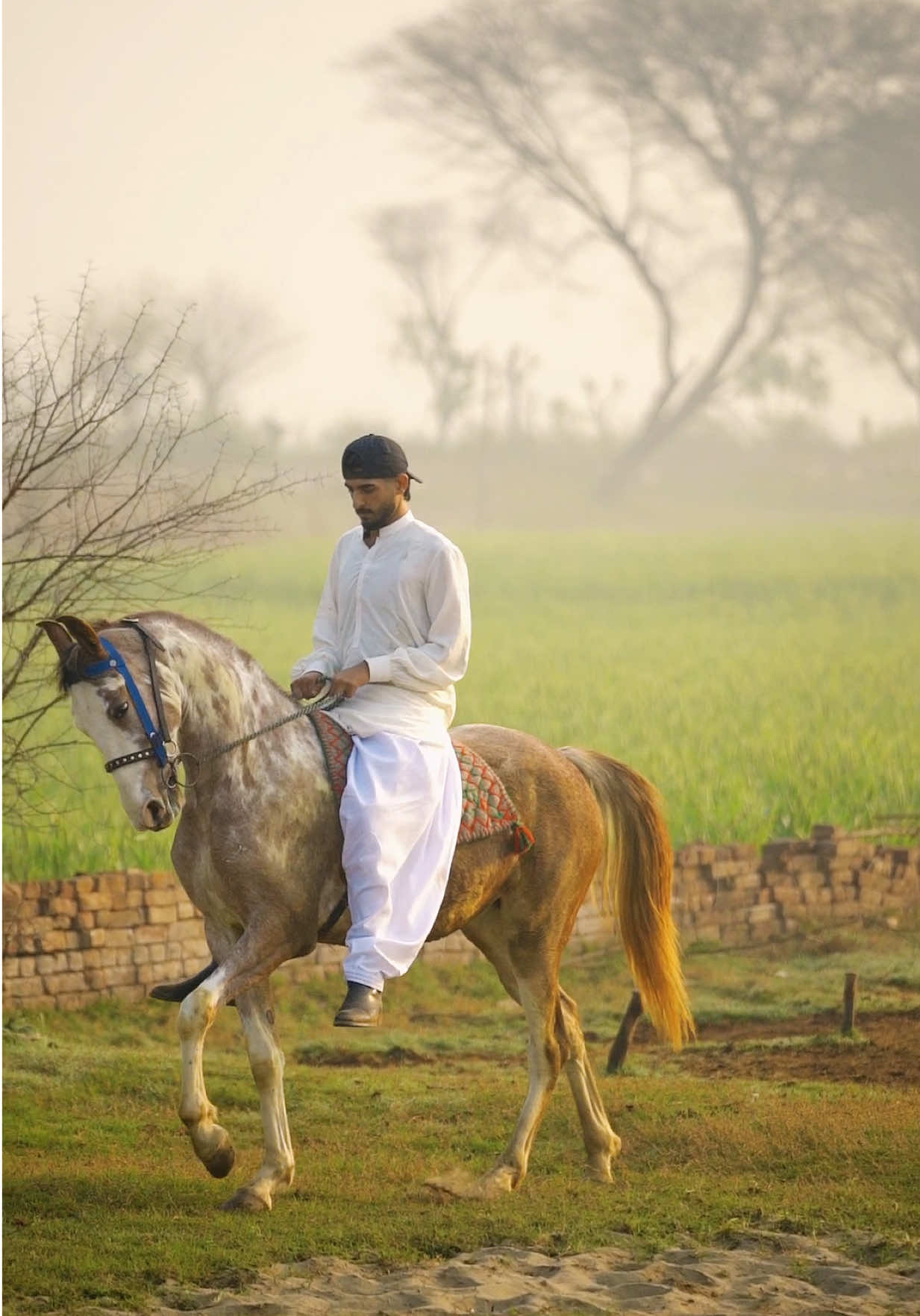 @abdullah_gujjar772