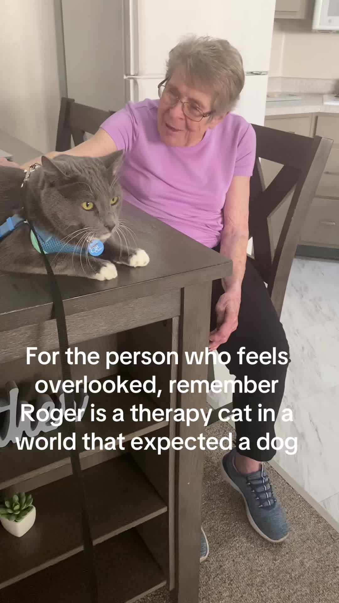 @Therapy Cat Roger & Family