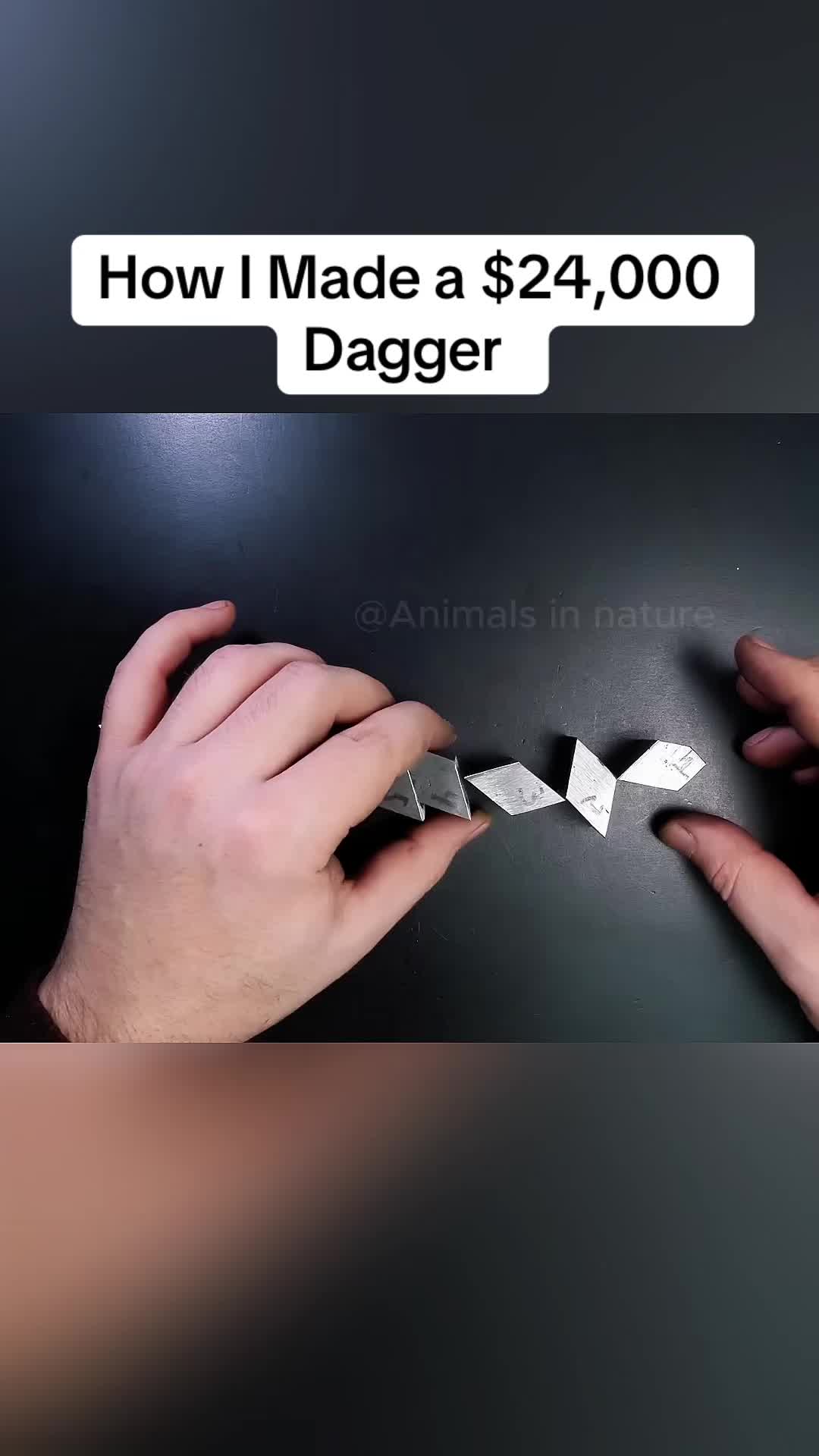 @Animals in nature