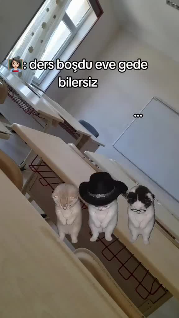 @ Mś・Emre