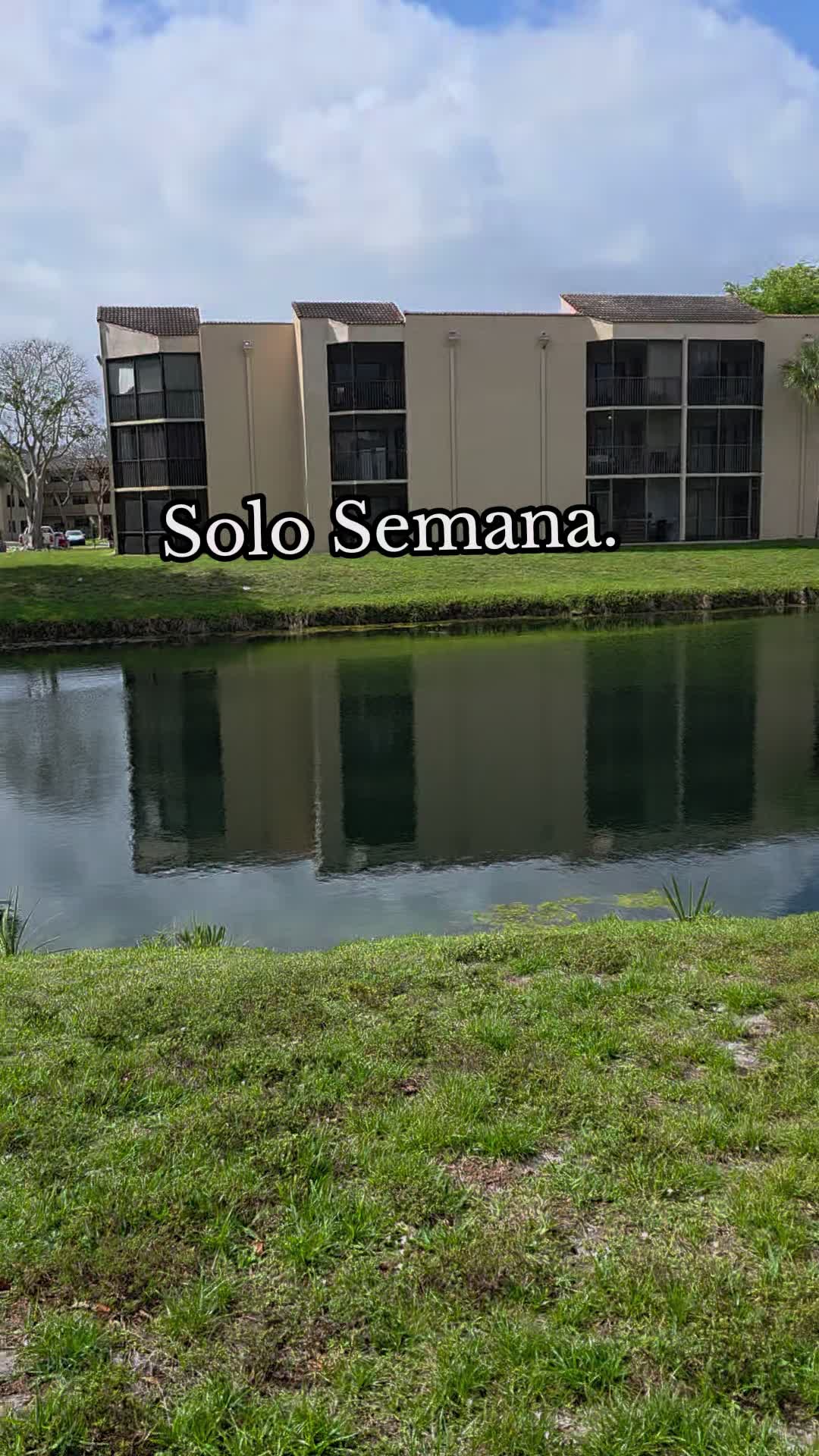 @Verito'H_503 👑💙🇸🇻