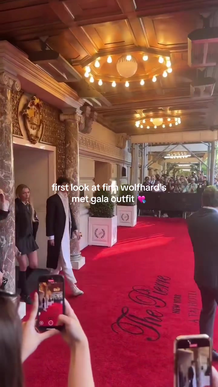 @finnwolfhardcorefan