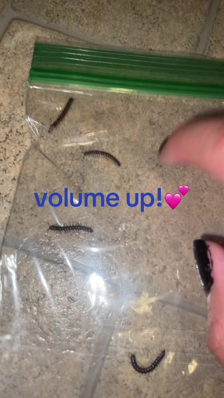 @natalie