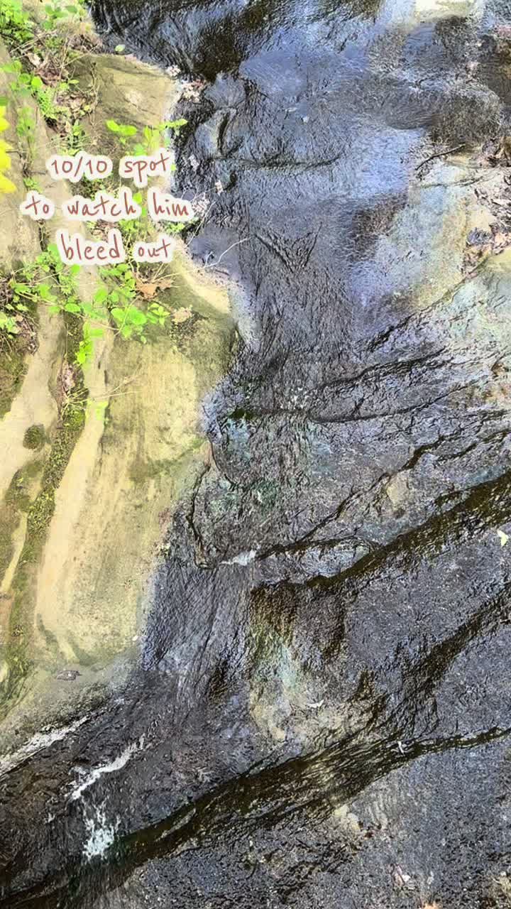 @Starved Rock State Park
