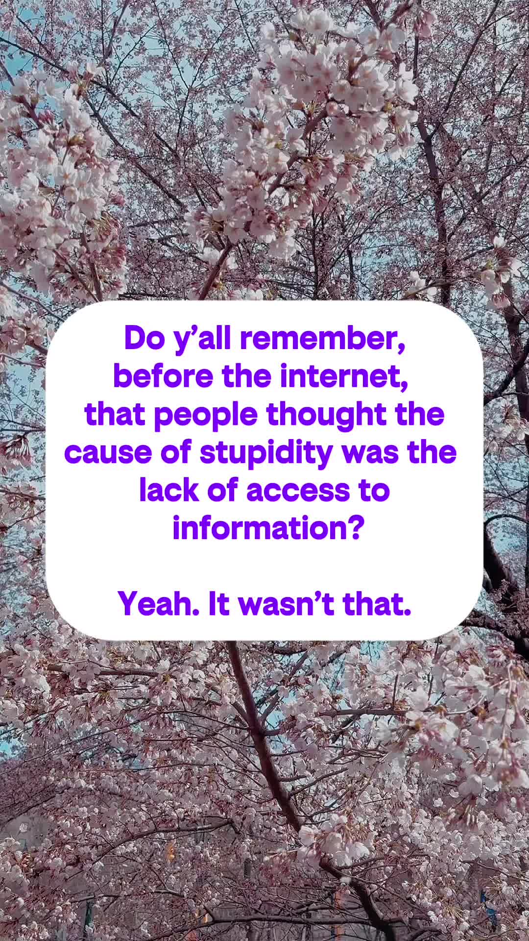 @MS Warrior