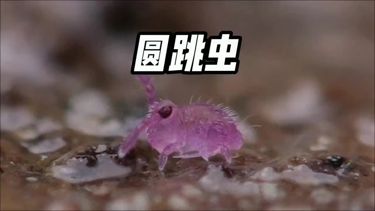 @林京一