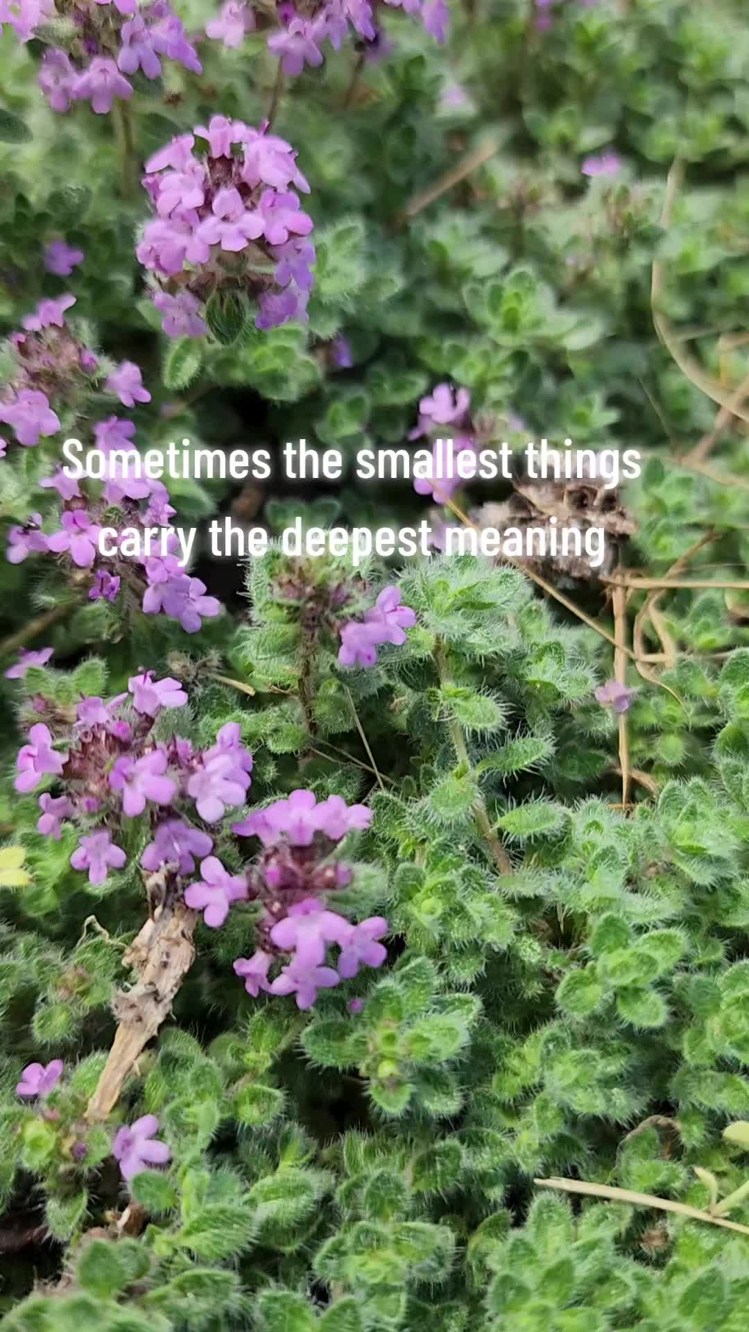 @Mr. G StillSmilingAnyway
