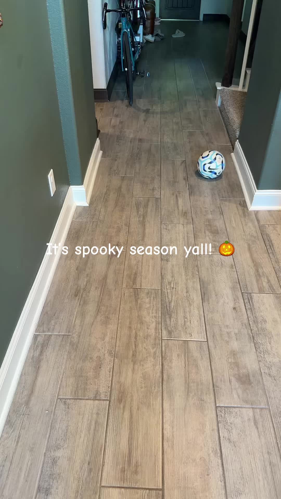 @mjvanicek