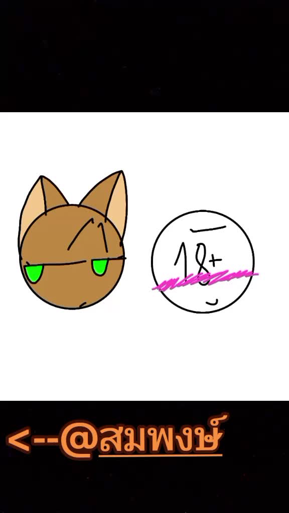 @🐱