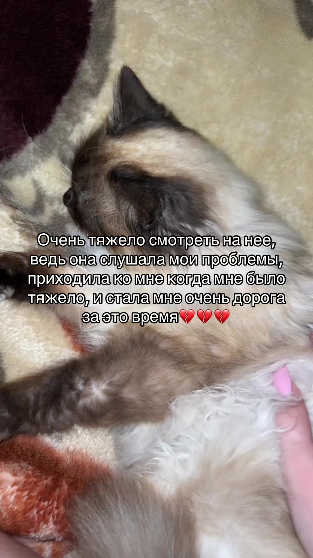 @𝐾𝑟𝑦𝑖𝑛𝑖𝑥𝑥💌🧴
