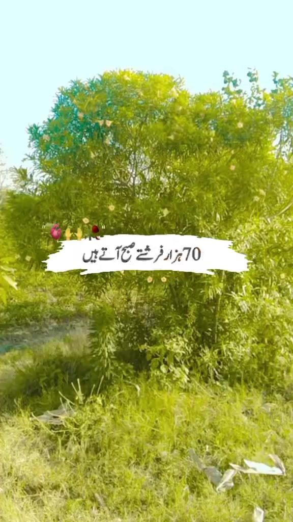 @asghar. ali