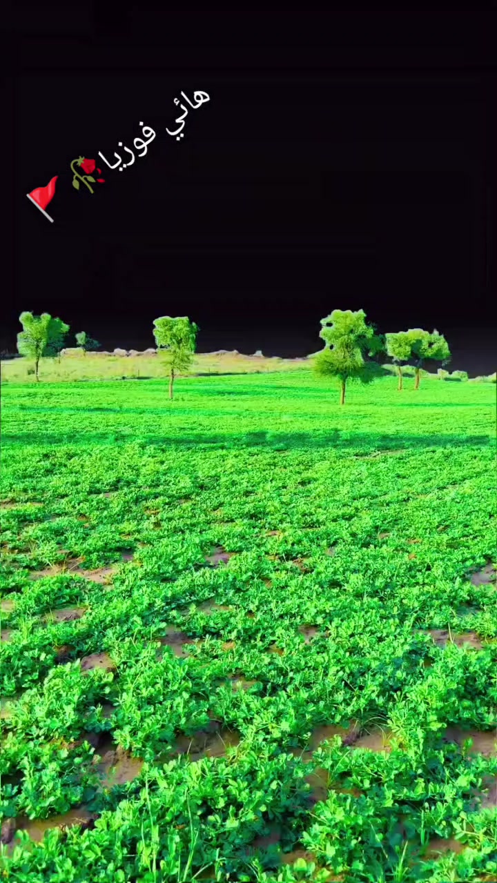 @&mdash;̳͟͞͞💗 🚩𝗦𝗶𝗻𝗱𝗵𝗶 💝