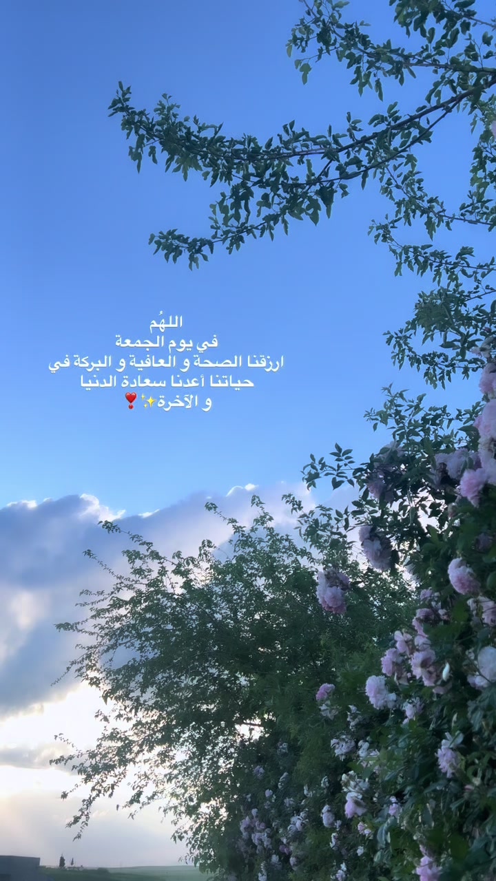 @لحظة الأمل 🫀🤍