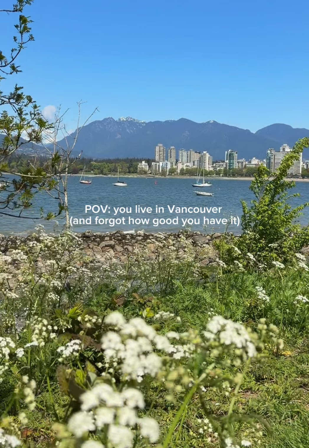 @Tine | Things To Do Vancouver