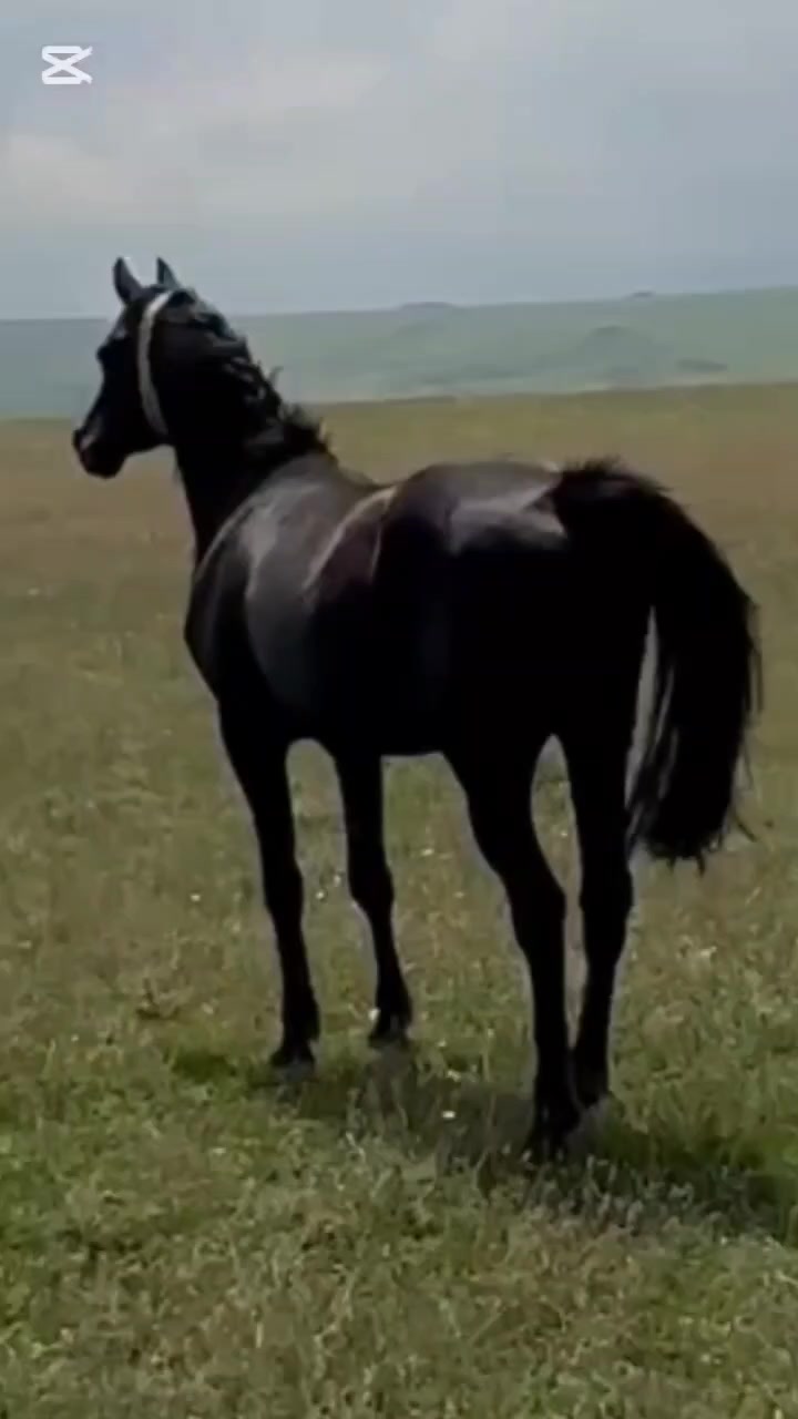 @MakvinStud