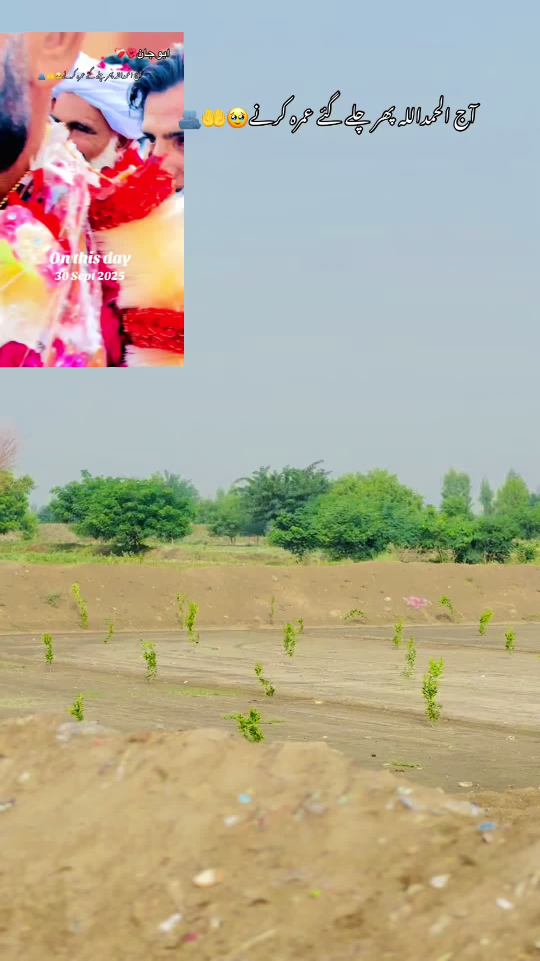 @shujatofficial67