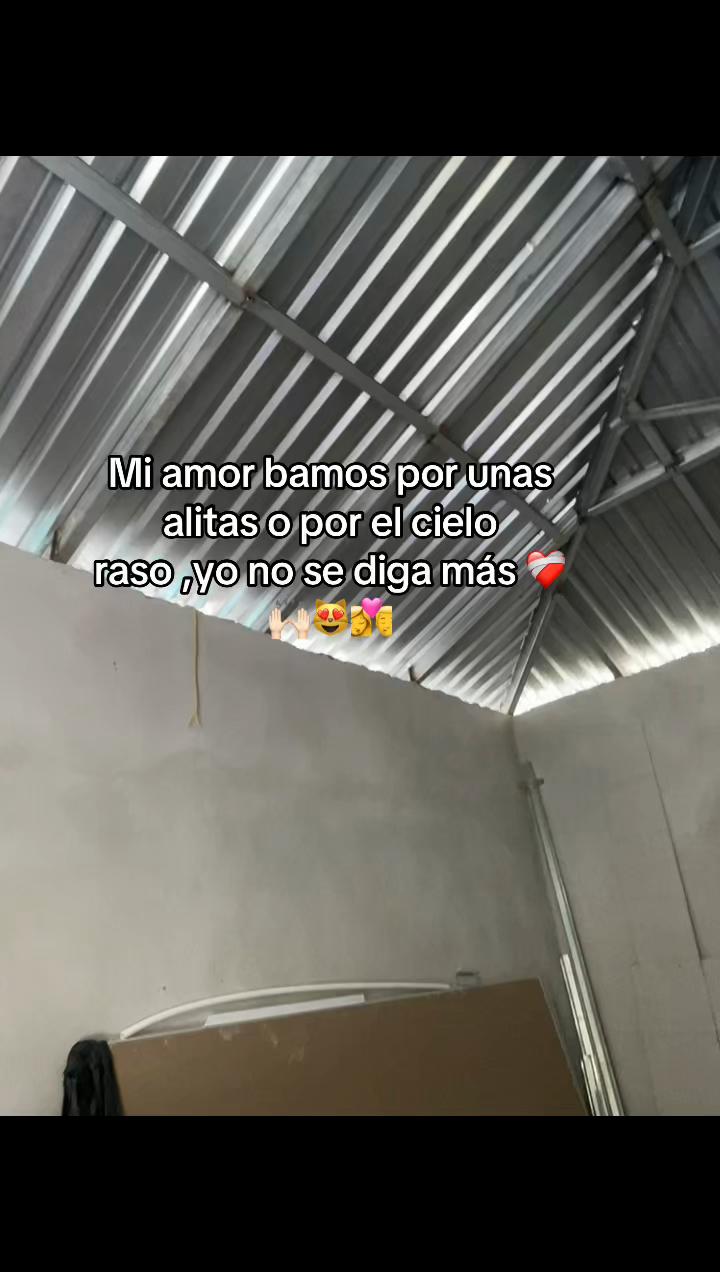 @🕷️