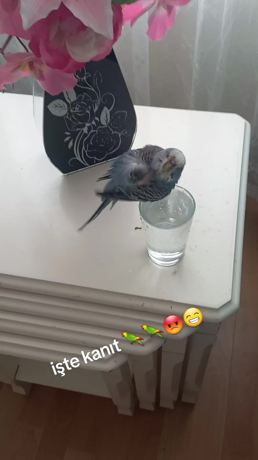 @Serpil Karaman