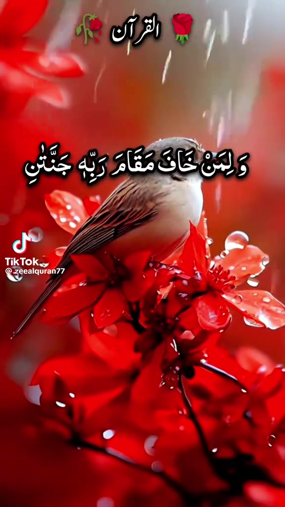 @Adnan Ahmad