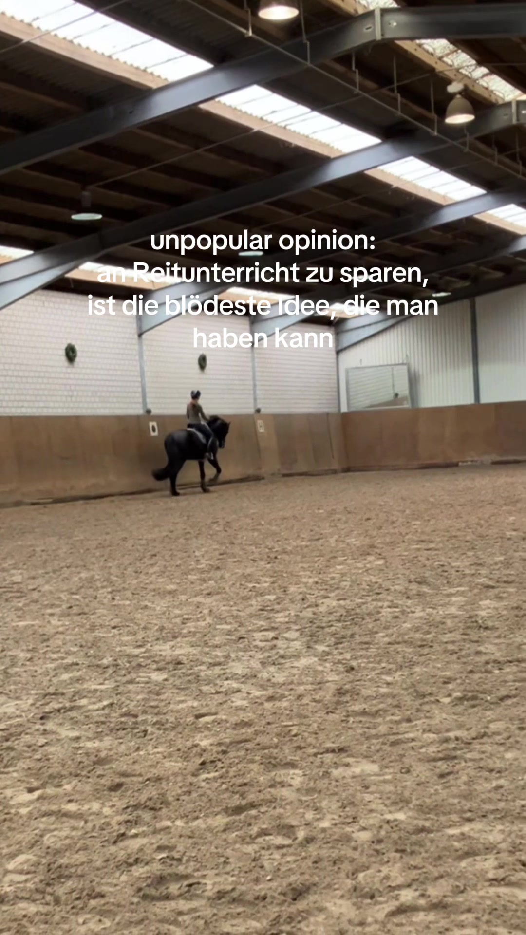 @evis.pferdechaos