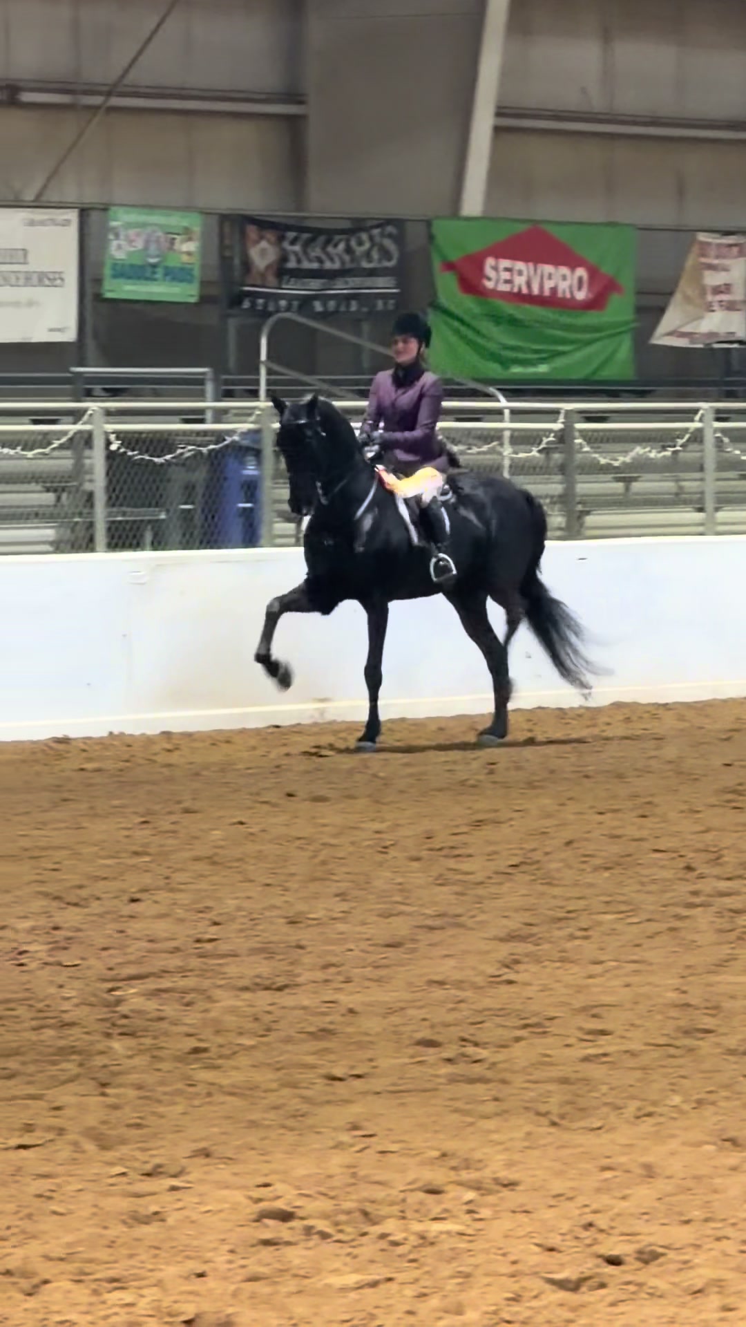 @Seraphim Stables