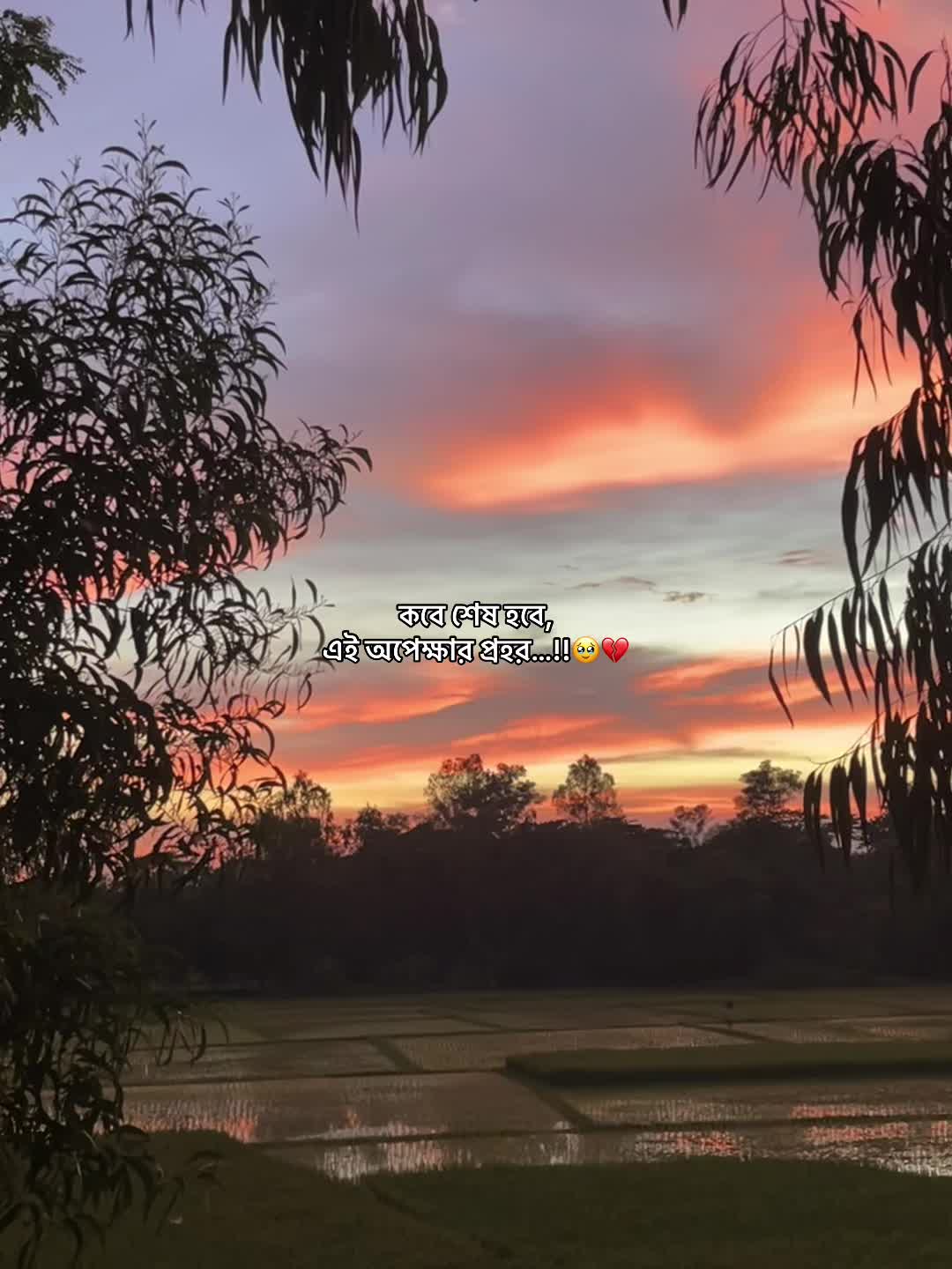 @⚡️𝐒ʜᴇɪᴋʜ_𝐑ᴀʜᴀᴅ