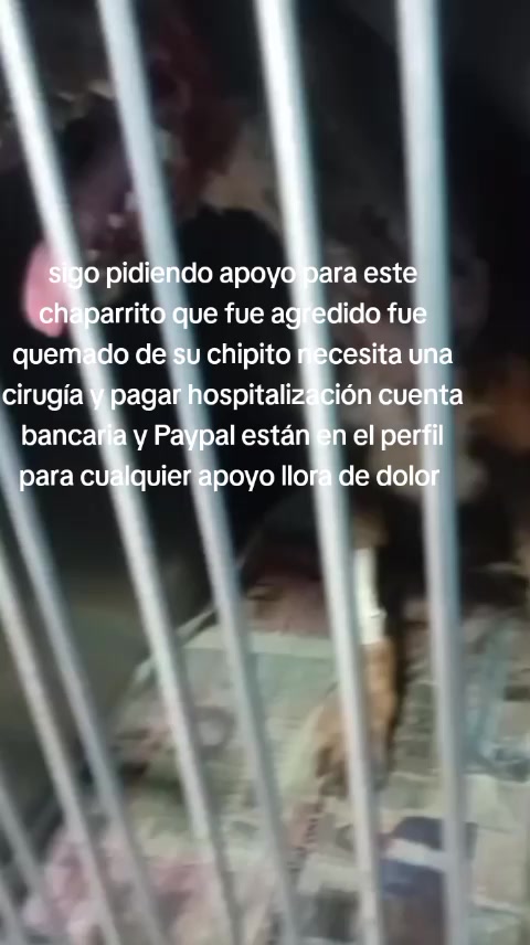 @Rescateyrefugio2