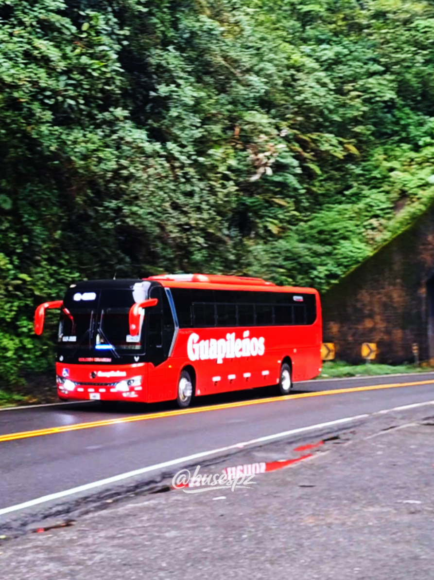 @BUSES PZ | BPZ