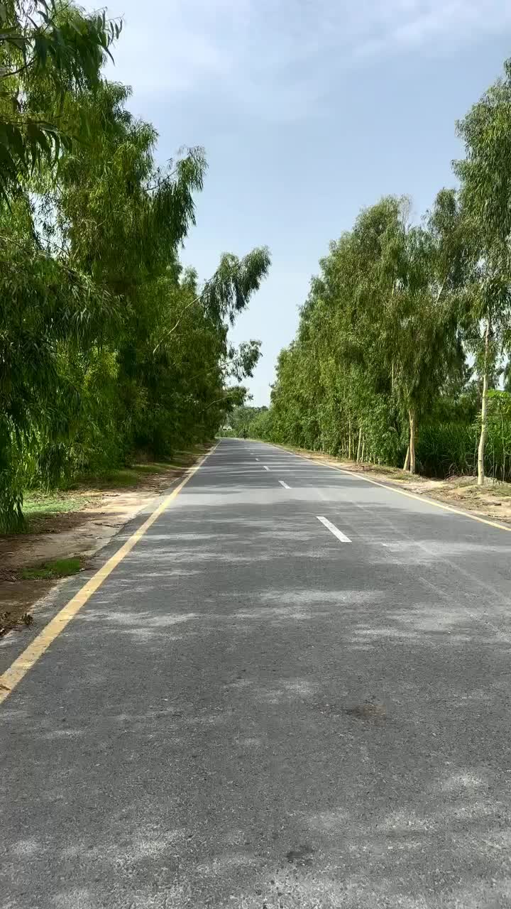 @Rana Kashi