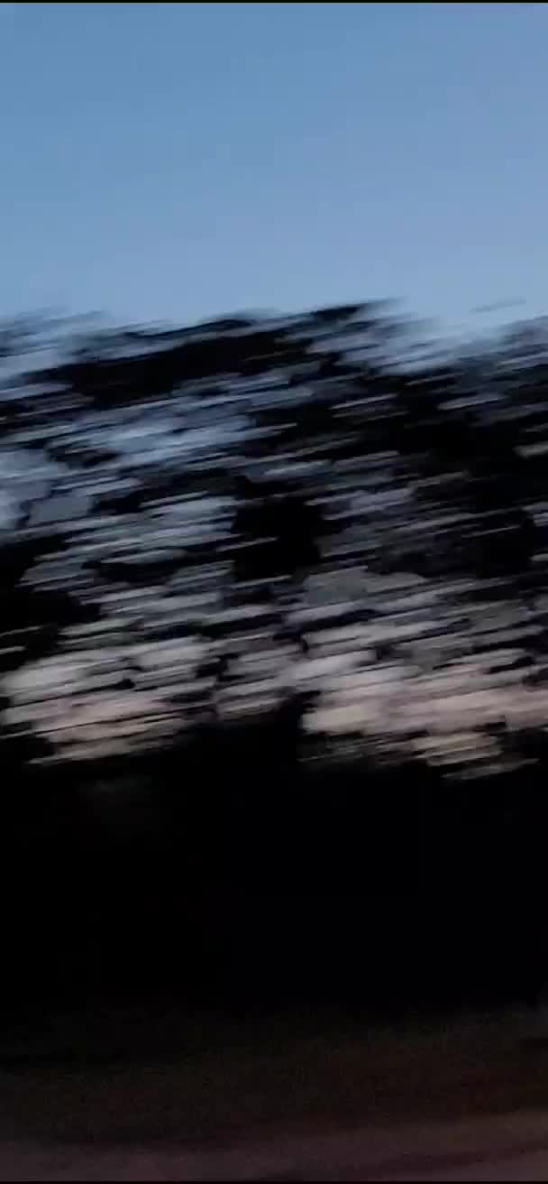 @itx_shahg🖤
