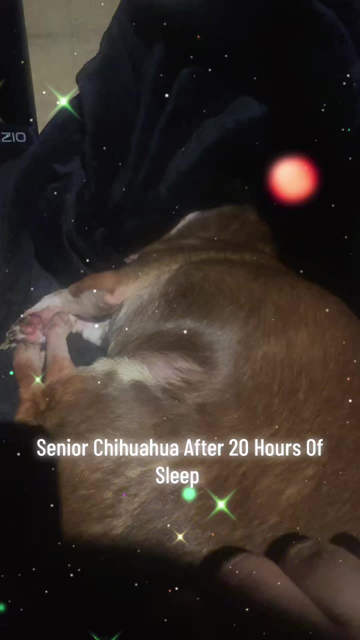 @BBL🚛TRUCKR