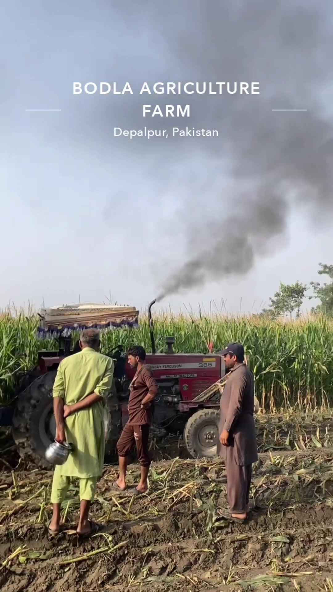 @میاں امن مصطفی بودلہ