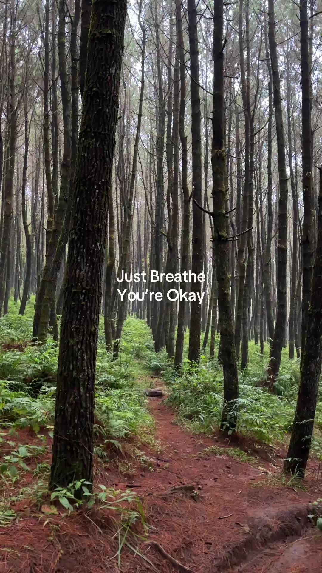 @unclerobsjourney